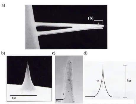 Fig. 2.8 – Microlevier Ultralever avec pointe conique en SiO 2 (a), vue du d´ etail de la pointe par MEB (b), d´ etail de la pointe par MET (c) et sch´ ema de la pointe (d).