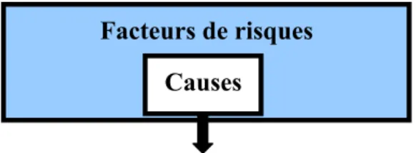 Figure 13:  Facteurs de risques. Fougeyrollas, Cloutier, Bergeron, Côté et St Michel (1998)