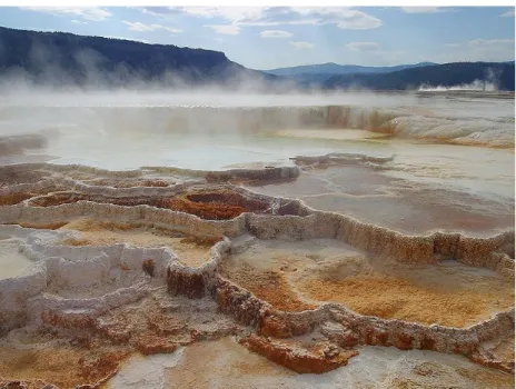 Figure m. Yellowstone National Park, one of the first UNESCO World Heritage Sites, listed in gmso