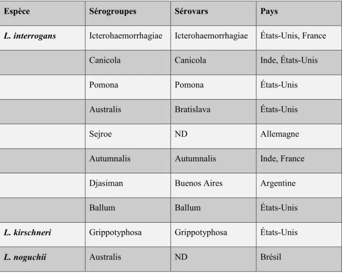 Tableau II. Sérogroupes et sérovars isolés chez des chiens atteints de leptospirose (infection  naturelle ou inoculation expérimentale) 