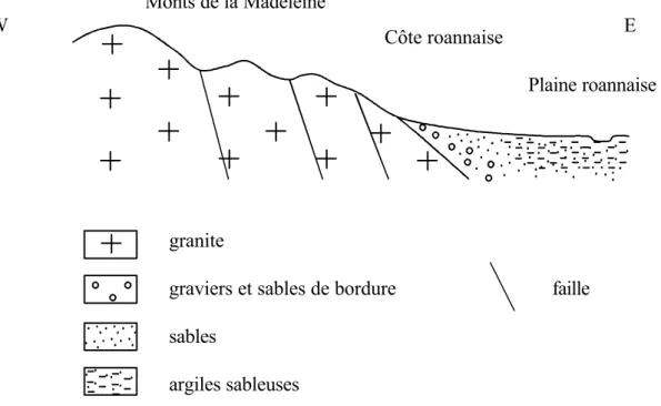 Figure 5 : contexte régional de horst et de graben du bassin du Renaison