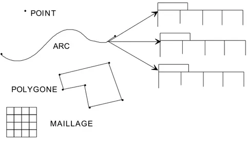 Figure 6 : Les deux grands types de données dans un SIG