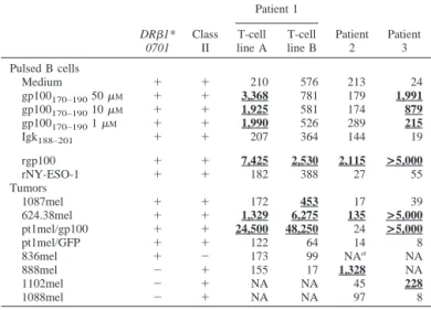 Table 1 Generation of gp100-specific T cells from melanoma patients Peripheral blood mononuclear cells from HLA-DR ␤ 1*0701 ⫹ melanoma patients were incubated with recombinant gp100 (rgp100) for 7 days, and CD40-activated B cells were prepared concomitantl