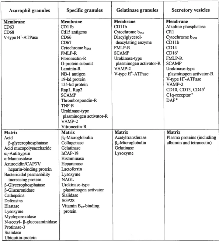 Table Li. The content ofhuman neutrophil granules ami secretoiy vesicles