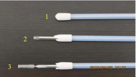 Figure 3: The cytobrush system to reduce sample contamination                                                       Image showing how to endometrial cytobrush samples were taken 