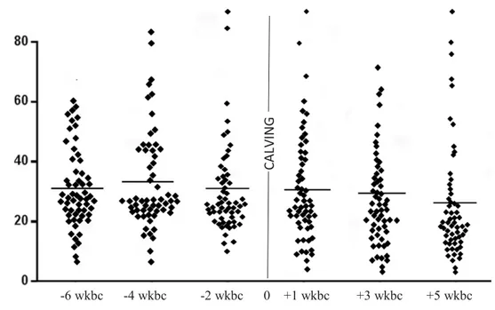 Figure 4:  The amount of white blood cells (WBC)in 61 cows overtime of examination.  