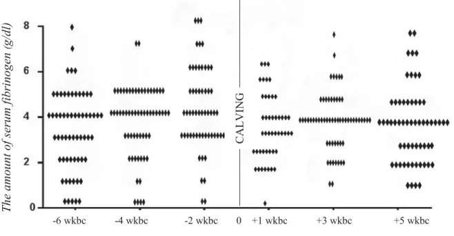 Figure 5: The amount of serum fibrinogen (g/dl) in 61 cows over time of examination. 