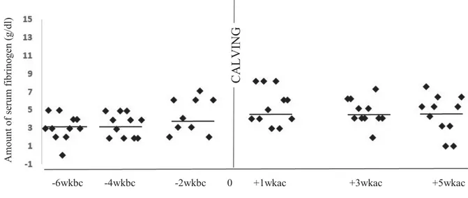 Figure 8b : Blood Fibrinogen levels in 11 diseased cows in 6 exams 