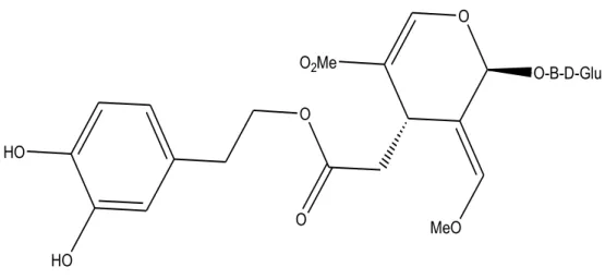 Figure 09 : Structures de l'oleuropéine [28]. 