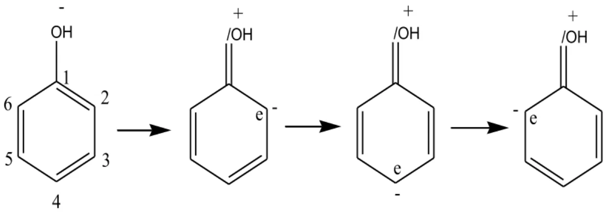 Figure 11 : Formes mésomères du phénol. 