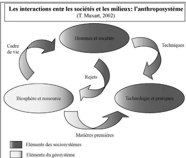 Figure 4 : L’anthroposystème selon T. Muxart (2002)