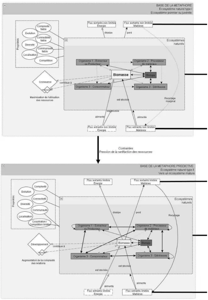 Figure 2 - Cartographie structurelle de l'analogie entre écosystèmes et systèmes anthropiques en écologie  industrielle  