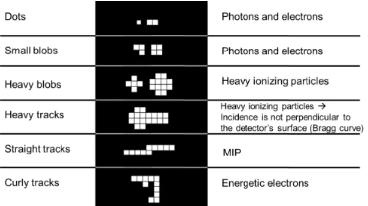 Figure 3.6: Different pixel shapes generated by various types of particles [17].