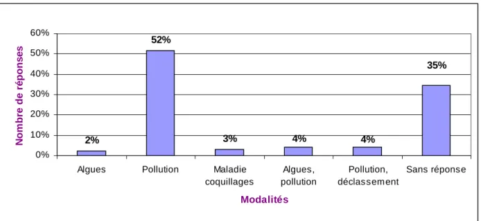 Figure 4 ! Détail des problèmes environnementaux évoqués pour Montpellier
