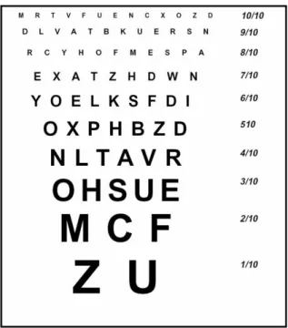 Figure 1: Échelle d’acuité visuelle de loin de type Monoyer 