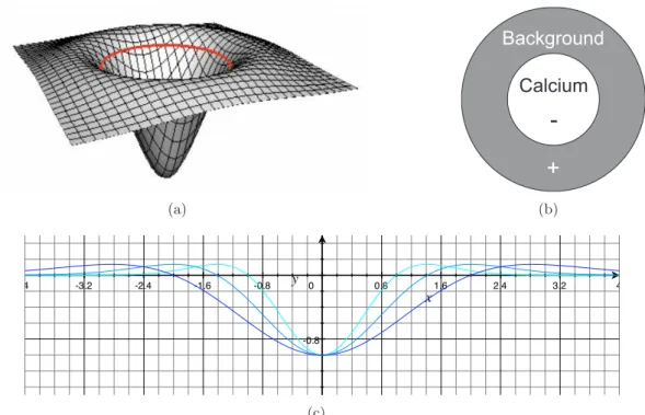 Figure 3.1: Mexican hat wavelet: (a) 2D graph, (b) front view and (c) 1D graph for different scale parameters r c of a Mexican hat wavelet.