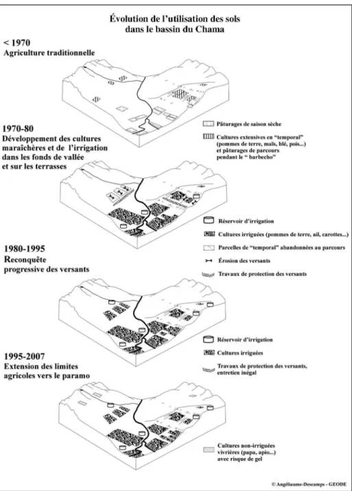 Figure 7. – Évolution de la répartition des activités agricoles   (schéma de synthèse d’après Tulet, 1987) : la colonisation progressive  