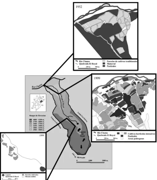 Figure 8. – Intensification des activités agricoles dans le bassin versant   de la quebrada El Royal (Mucuchies, État de Mérida,  