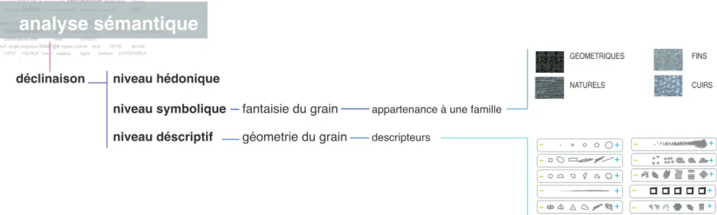 Fig. 3.6 : Structure du tri des termes et déclinaison du grain. 