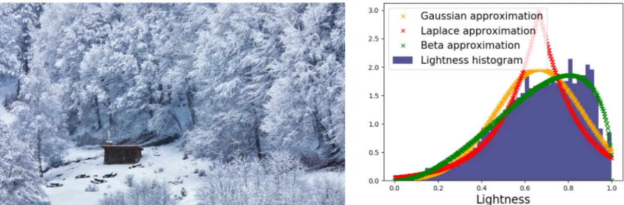 Figure 4.1 – The lightness histogram of the left-hand image is right-skewed (as shown in the right-hand plot)