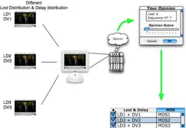 Figure 3.4: Subjective Quality Assessment Phase.