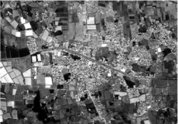 Figure 2. Extraits d’images panchromatiques Google  Earth (1a) et Pléiades (1b) 