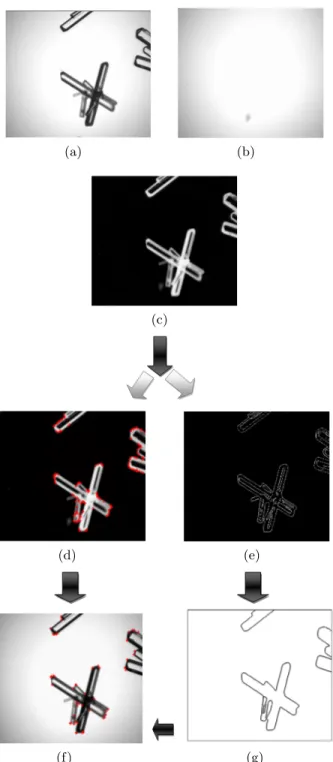 Figure 3. Example of the salient corner detection applied on a real image of Ammonium Oxalate crystals