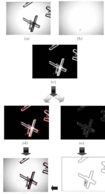 Figure 1. Schematic of the method                                   Figure 2. Example of the salient corner detection                                   applied on a real image of Ammonium Oxalate 