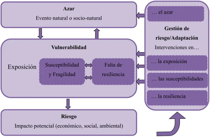 Figura 1: Enfoque MOVE de la vulnerabilidad y el manejo de riesgos (inspirado de Birkmann et al