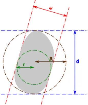 Fig. 1. Geometrical functionals of a compact set: radii of inscribed (r) and circumscribed (R) circles, minimum (ω) and maximum (d) Feret diameters.