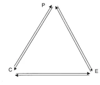 Figure 2 — Conception du déterminisme réciproque