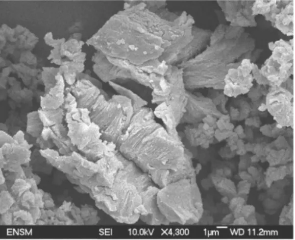 Figure 11 : SEM picture of hydrated SBL 115°C, 5 hPa (No blocking effect) 