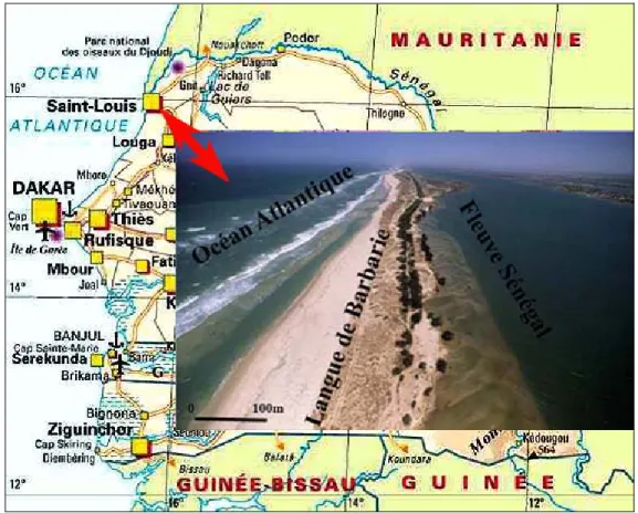 Figure 1 : Le site d’étude de Saint-Louis montrant le cordon dunaire dit « Langue de Barbarie »,   coincé entre le fleuve Sénégal et l’Océan Atlantique 