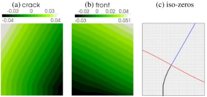 Fig. 5 Level sets based definition of the shape of local model (gray).