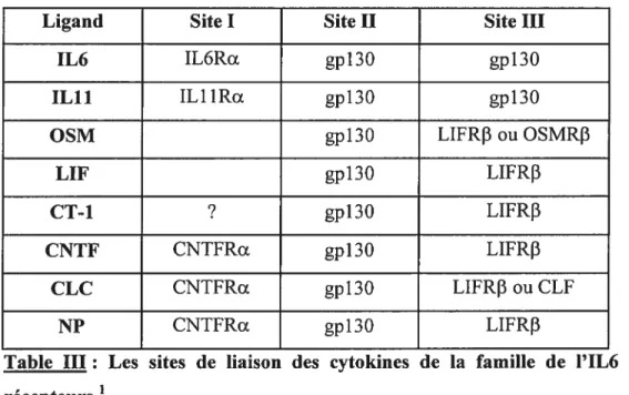 Table III: Les sites de liaison des cytokines de la famille de l’1L6 à leurs récepteurs .