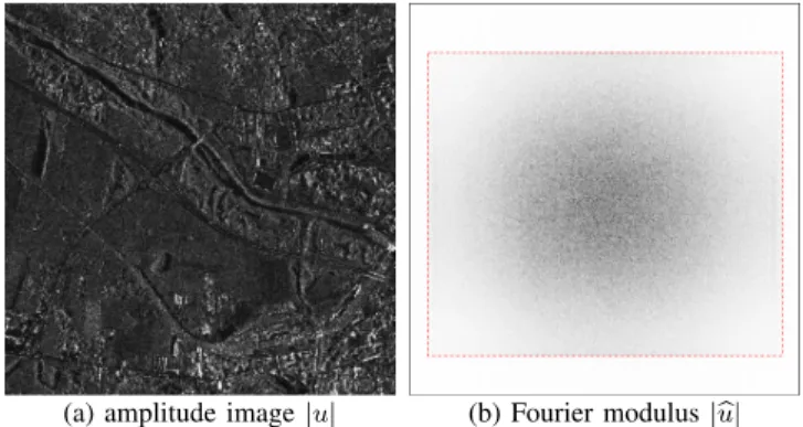 Fig. 1. An example of TerraSAR-X image data. We display in (a) the modulus of a SLC TerraSAR-X image u with size M ×N (by convention in all this work, the horizontal axis represents the range direction), and in (b) the modulus of its DFT u b (low values ar