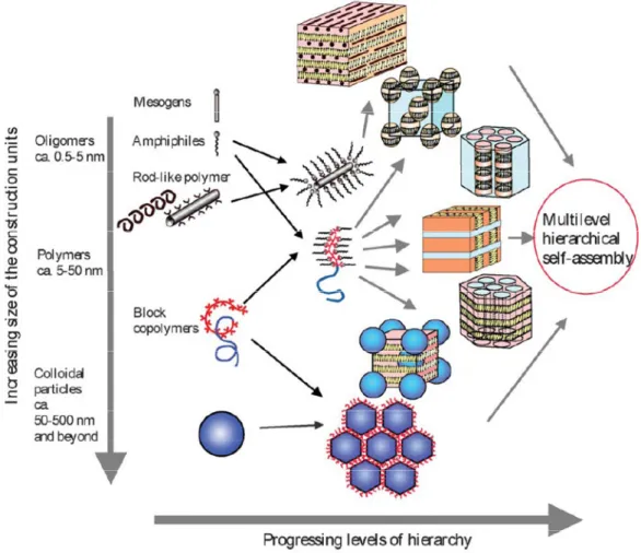 Figure  1.3.  Potential  scenarios  for  constructing  hierarchically  self–assembled  block  copolymer structures (reproduced from Ref