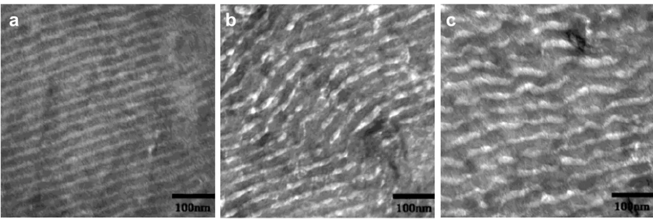 Figure 1.8 shows an example of PLLA crystallization in a lamellar–forming PS–b–