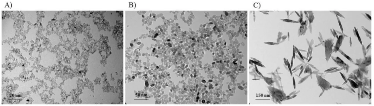 Fig. 1. Transmission electron microscope images of TiO 2 -NPs (A) S1, (B) S2, (C) S3. 