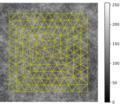 Fig. 4: Mesh used for the FE-DIC measurements superim- superim-posed on h (n = 127).