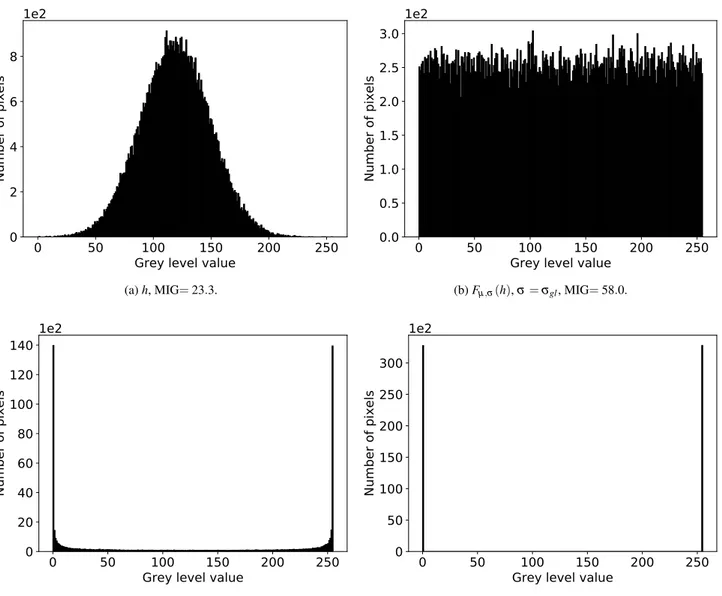 Fig. 2: Grey level distributions of h and F µ ,σ (h) for different values of σ and grey level distribution of a randomly generated pattern