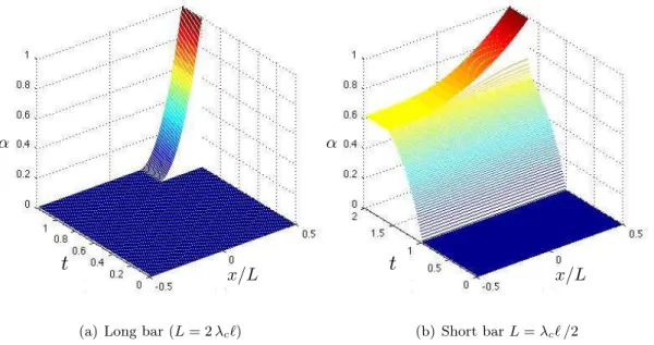 Figure 9: Damage field distribution along the central line y = 0 of the bar versus time, showing a clear scale effect