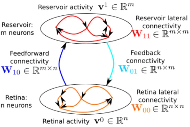 Figure 1: Structure and main notations of the neural network described in Section 2.