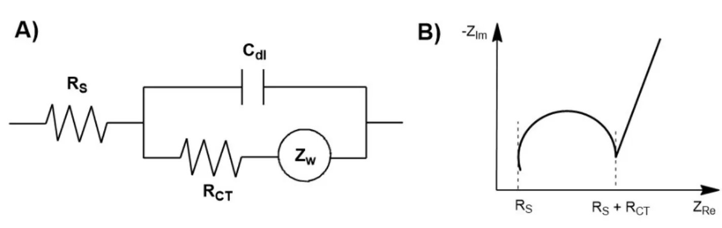 Figure 2.9. A) Circuit équivalent de Randle et B) diagramme de Nyquist typique. 