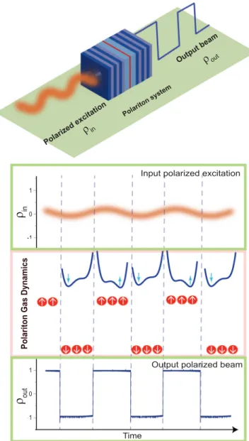 FIG. 3. (Color online) Principle of spinor stochastic resonance.