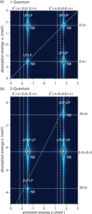 FIG. 5. Double-sided Feynman diagrams that represent pertur- pertur-bative Liouville-space pathways of two-quantum 2DFT spectrum.