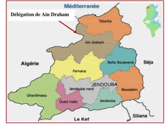 Figure 1. Localisation de Ain Draham dans le gouvernorat de Jendouba 