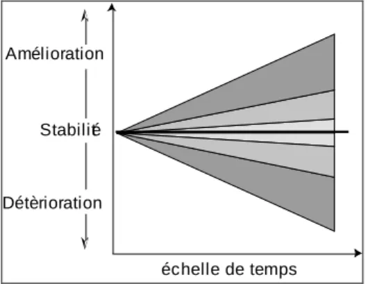 Figure 16.4 : Evolution schématique des qualités du vecteur. 