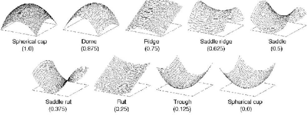 Figure 2.3: Shape index characterizes the local surface into a set of representatives.