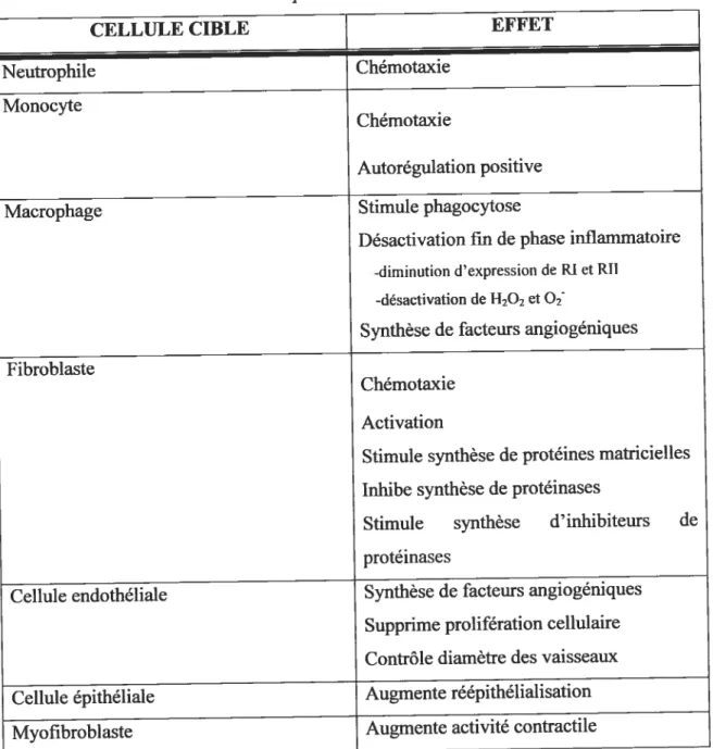 Table I. Effets biologiques de la protéine TGF-fl sur dfférents types cellulaires lors de la réparation tissulaire